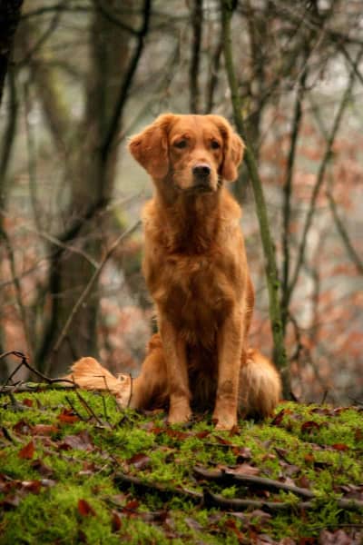aaaIMG_9352-scaled