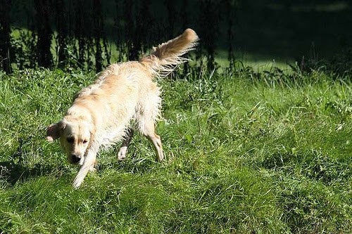 img_0564b1223402012437213048_32469879161_o
