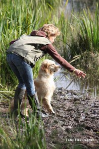 Thimm's Retriever - Bringleistungsprüfung im Spätsommer 2012