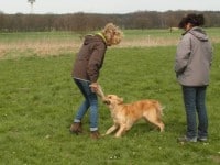 Ava-Lucy und Abby haben jetzt auch ein „Wesen“