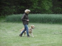 Begleithundeprüfung am 16.Mai