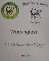 Münsterland Cup
