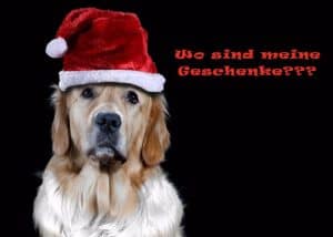 Frohe Weihnachten wünscht Thimm's Smart Baidu-Koby 