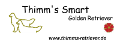 Thimm´s Retriever