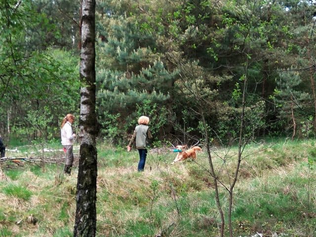 Susanne und abby in der Aufgabe