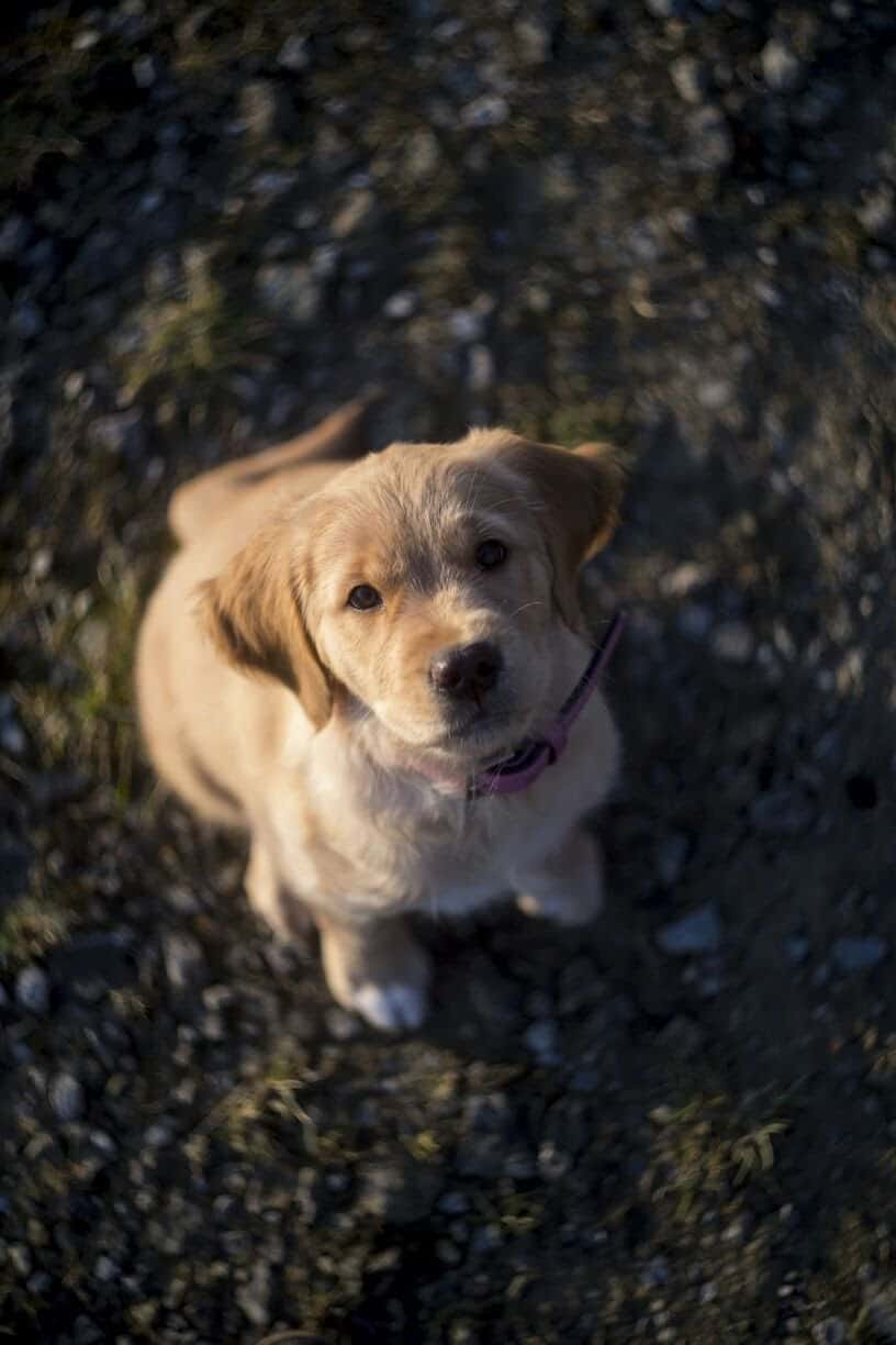 Hazel unser kleiner Engel