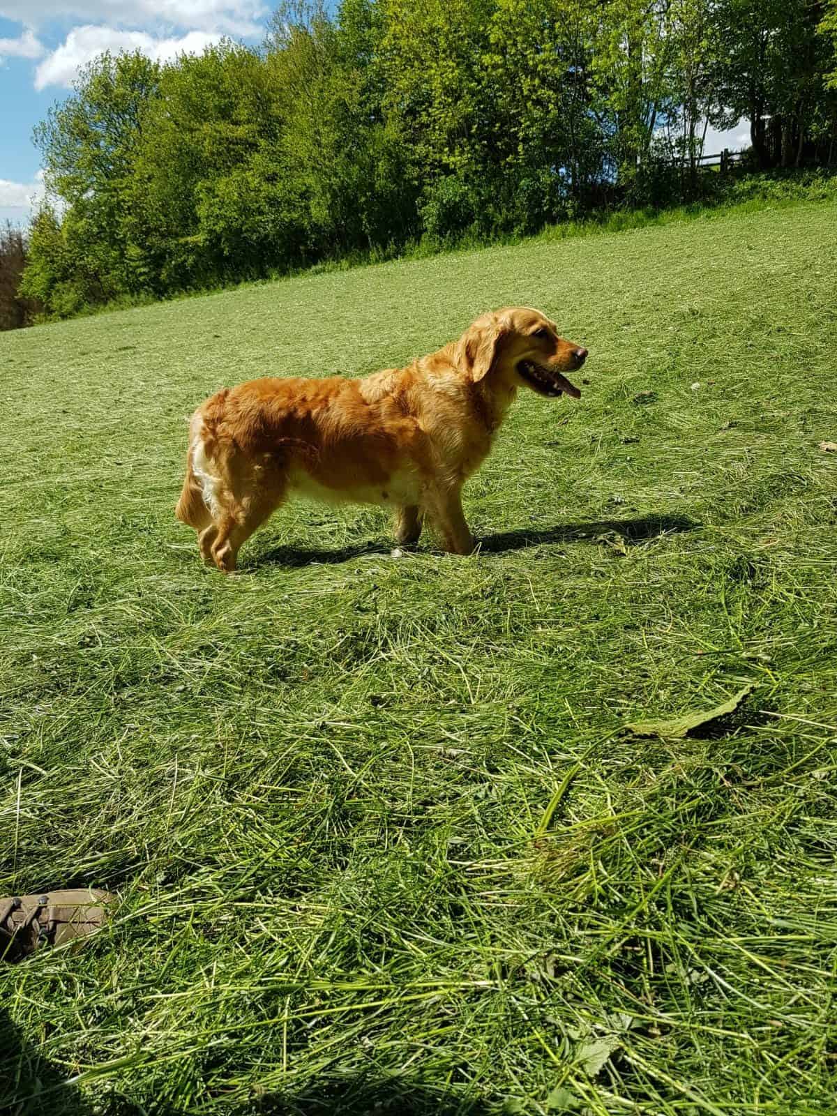 Abby geht es blendend