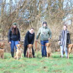 Fotos erstes E-Wurf Treffen
