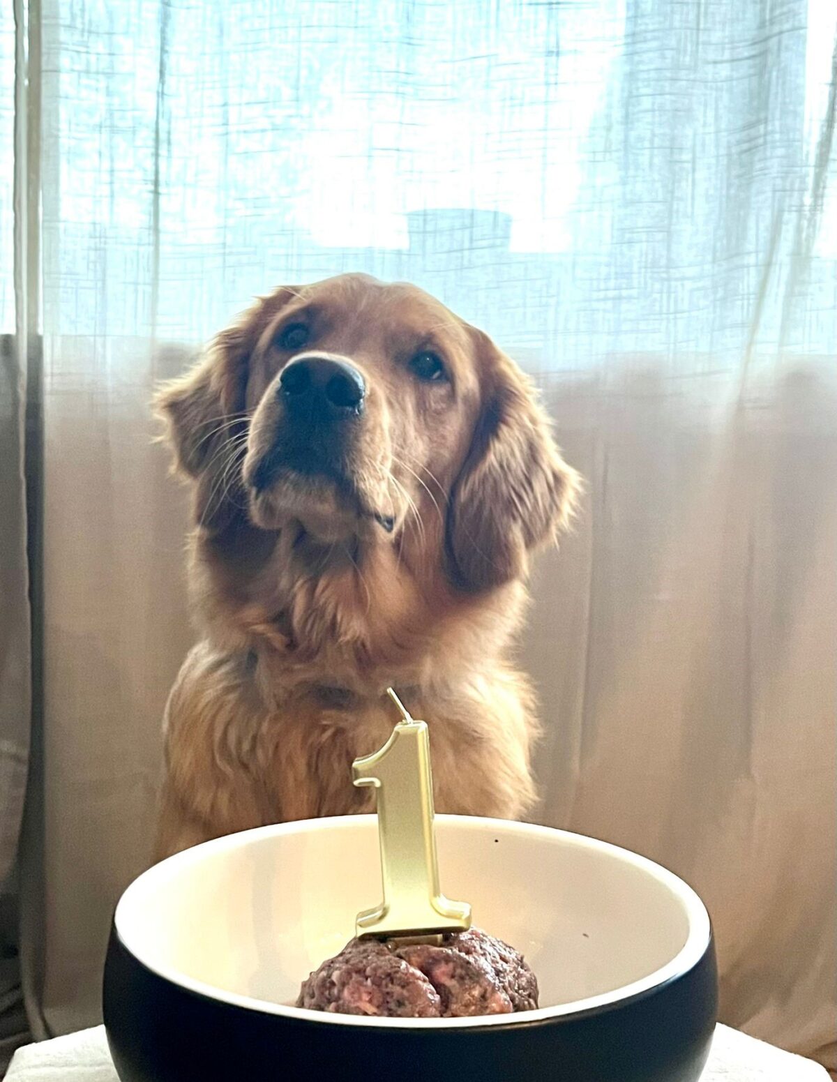 Die 7 Zwerge feiern heute ihren ersten Geburtstag