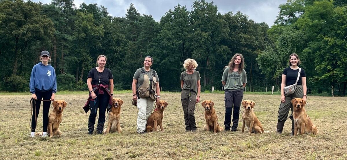Trainingstreffen mit dem E-Wurf